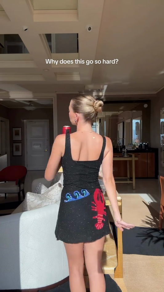 Embroidered Sequin Mini Dress