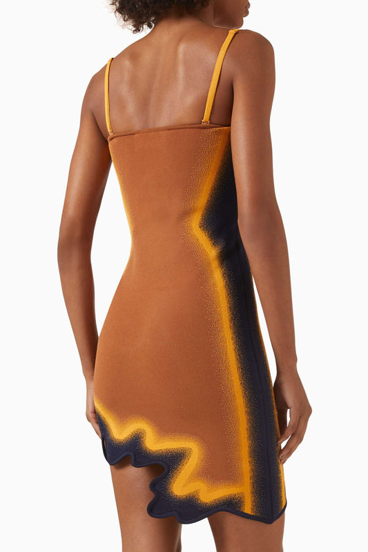 Floral Print Mini Dress